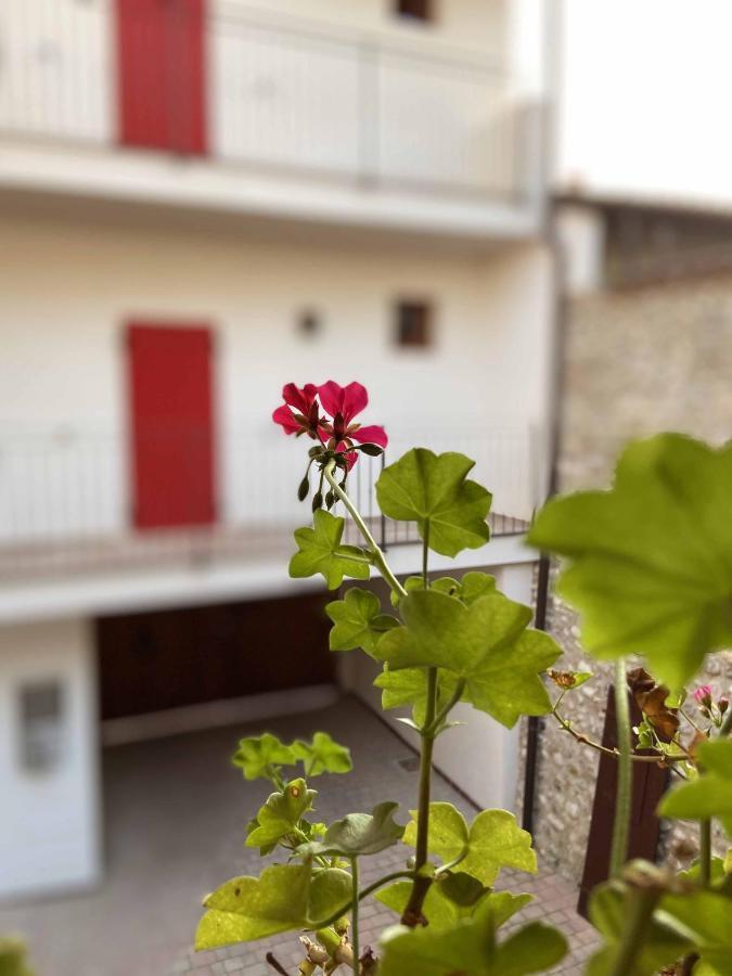 La Volpe Rossa Rooms And Apartments San Felice del Benaco Buitenkant foto